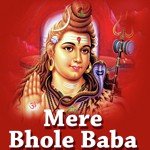 Mere Bhole Baba - Rakesh Tiwari Song Download